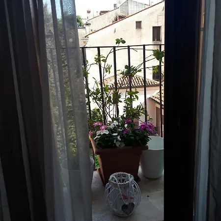 Mini Contra San Pietro